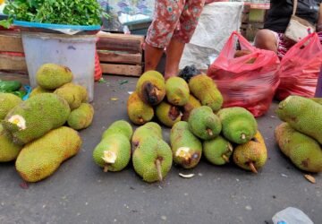 Banjir Cempedak Manis di Ambon! Harga Murah, Rasanya Bikin Ketagihan!