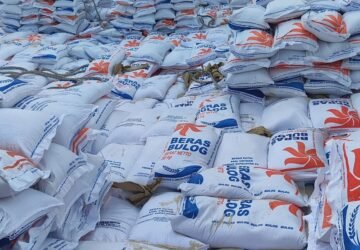 Bos Bulog Sebut Harga Beras Sulit Turun Meski Produksi Melimpah