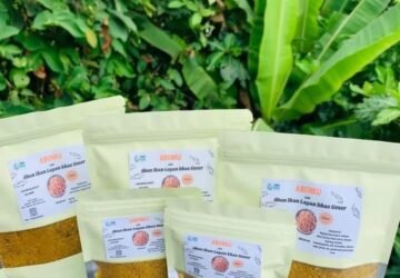 Geser Abonqu: Temukan Kelezatan Abon Ikan Khas Geser dengan Penawaran Spesial!