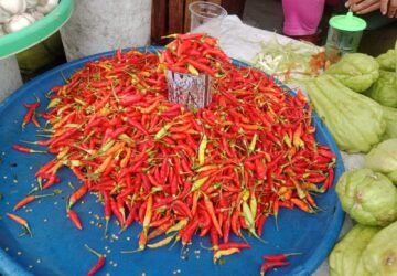 Harga Cabai Kecil di Pasar Mardika Ambon Melonjak Menjadi Rp 80.000 per Kilogram
