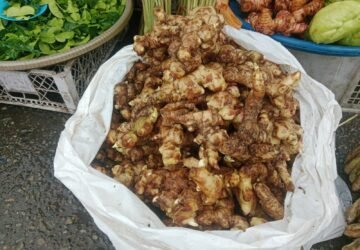 Harga Jahe di Pasar Mardika Ambon Meroket Menjadi Rp 50.000 per Kilogram