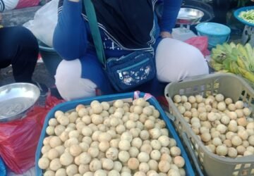 Harga Langsat dan Duku di Pasar Mardika Ambon Turun Drastis