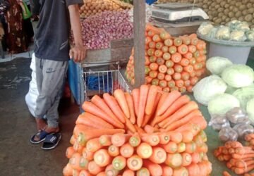 Harga Wortel, Kentang, dan Labu Siang Stabil di Pasar Mardika Ambon