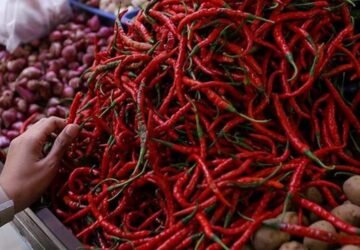 Harga Cabai dan Bawang di Pasar Tradisional Ambon