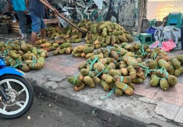 Musim Buah Tiba di Ambon: Rambutan Binjai hingga Cempedak Negeri Oma Mulai Membanjiri Pasar Pantai Losari