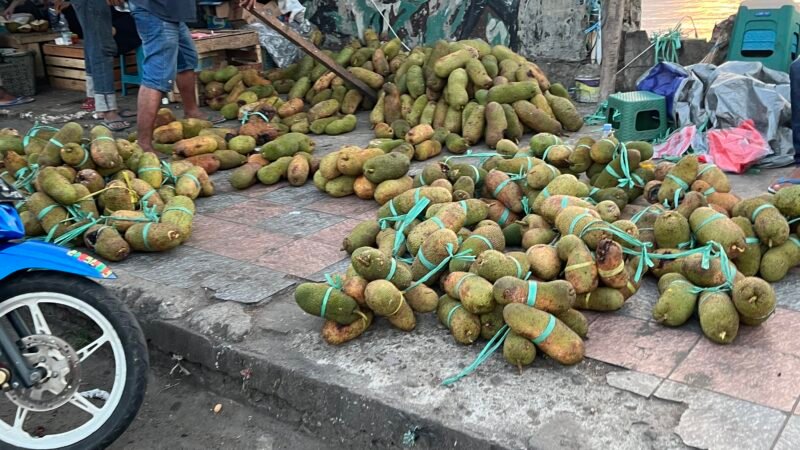 Musim Buah Tiba di Ambon: Rambutan Binjai hingga Cempedak Negeri Oma Mulai Membanjiri Pasar Pantai Losari