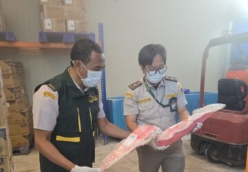 Karantina Maluku Kawal Ekspor Tuna Loin ke Vietnam, Perkuat Daya Saing Perikanan Maluku
