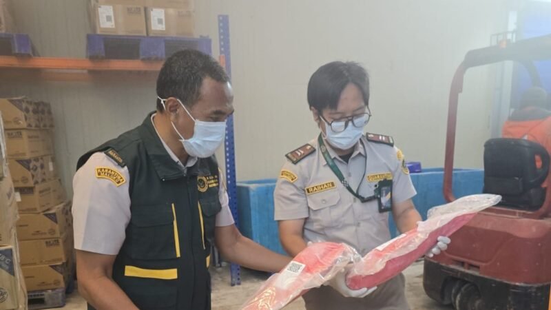 Karantina Maluku Kawal Ekspor Tuna Loin ke Vietnam, Perkuat Daya Saing Perikanan Maluku