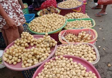 Langsat dan Duku Murah Meriah di Pasar Mardika Ambon, 70 Buah Langsat Cuma Rp 5.000!
