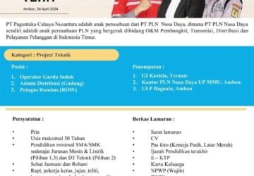 INFO LOKER AMBON : PT Paguntaka Cahaya Nusantara, Anak Perusahaan PT PLN Nusa Daya, Membuka Lowongan Pekerjaan