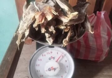 Penawaran Spesial: Ikan Garam Cakalang Dijual di Namrole Hanya 90 Ribu per Kg!