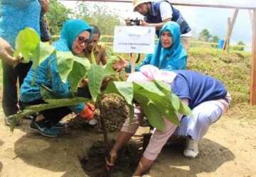 Mengantisipasi Krisis Pangan Global Kabupaten SBT Siapkan 1.600 Pohon Sukun