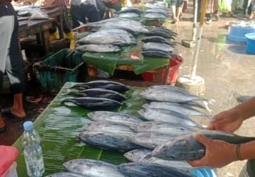 Harga Ikan di Pasar Arumbai Mardika Stabil pada Tanggal 29 April 2024