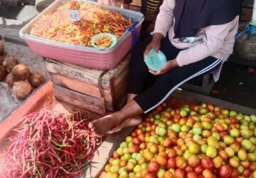Harga Cabai dan Tomat di Pasar Mardika Ambon Hari Ini 29 April 2024