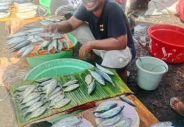 Yang Mau Bisnis Jualan Ikan, Ini Modalnya