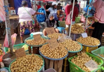 Buah Langsat dan Duku Mendominasi Pasar Mardika Ambon