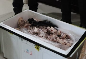Puluhan Kilogram Daging Sapi Tanpa Sertifikat Kesehatan Ditolak Masuk Ambon